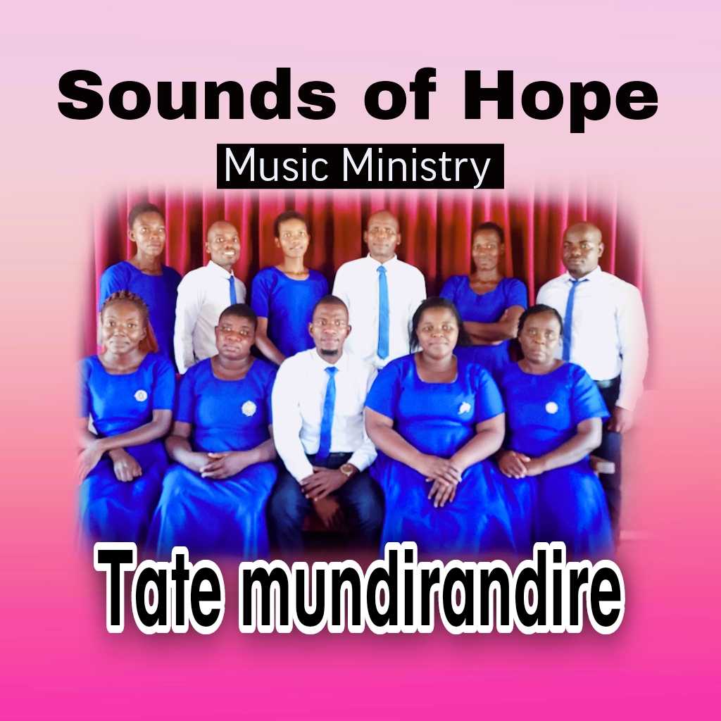 Tate Mundilandire