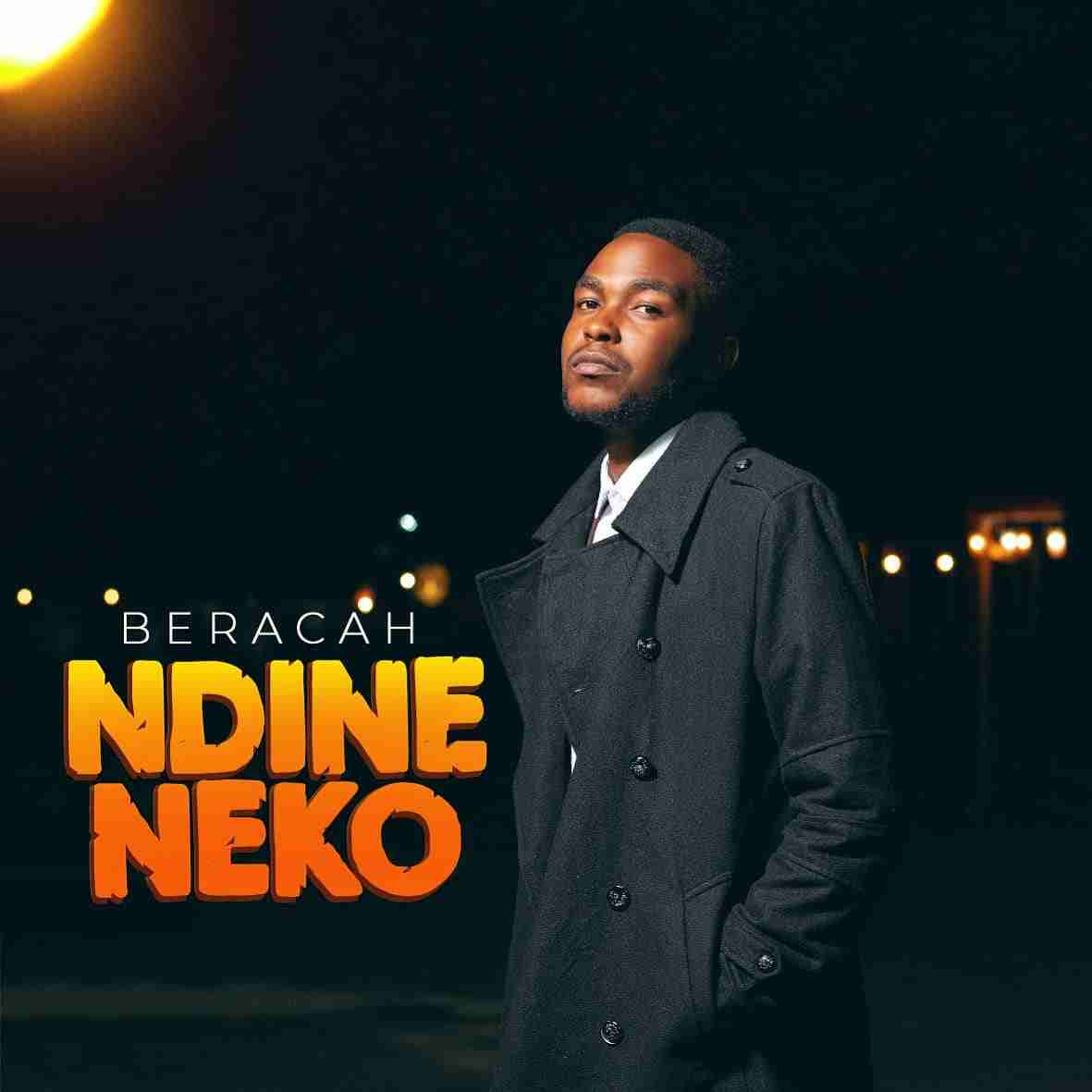 Ndineneko